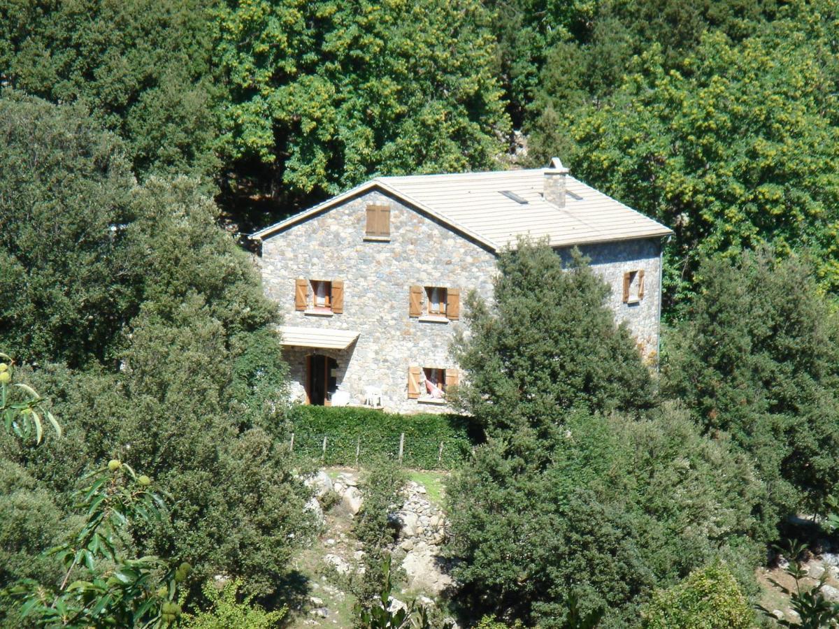 Chambre D'Hote "Chez Antoinette Et Charles" Santo-Pietro-di-Venaco エクステリア 写真