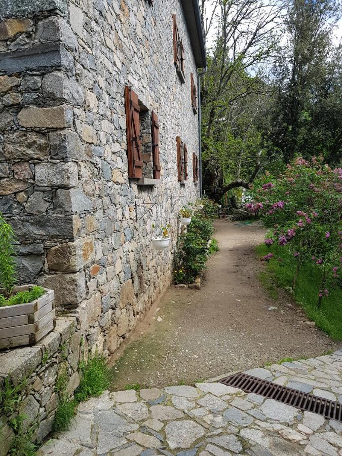Chambre D'Hote "Chez Antoinette Et Charles" Santo-Pietro-di-Venaco エクステリア 写真